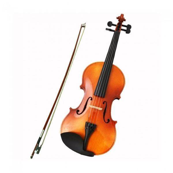 Violin Amadeus Con Estuche Y Arco