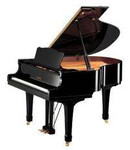 Pianos Acusticos