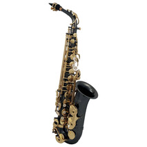 SAXOFON ROY BENSON   MOD. AS-202K