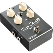 Pedal Source Audio True Spring Reverb