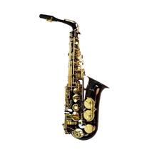 Saxofon Alto Eb Negro Llaves Y Pabellon Dorado Silvertone
