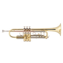 Trompeta Combinada Bach Tr500