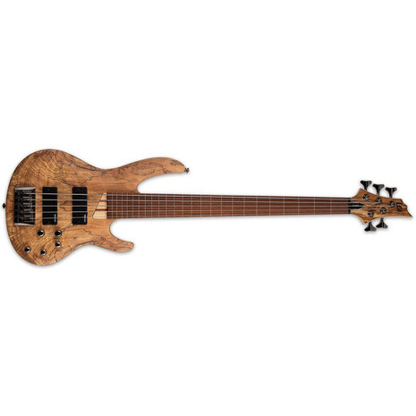 Bajo LTD B205SM FRETLESS