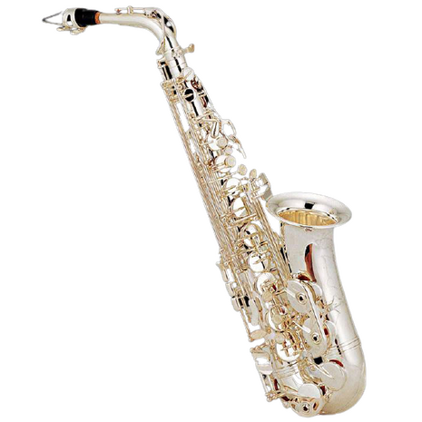 Saxofon Alto Eb Niquelado Mate Cas-200Mn Century