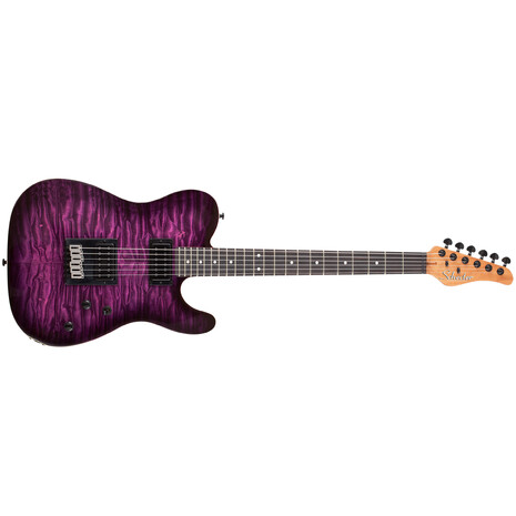 GUITARRA ELECTRICA  SCHECTER PT PRO-EBONY, 5 image