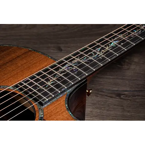 Guitarra Electroacustica Taylor Pro Premium PS14CE, 20 image