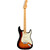 Guitarra Electrica Fender Player Plus Stratocaster Sunburst, Color: Sunburst