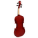 Violin Amadeus Cellini 3/4 Laminado  Brillante