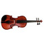 Violin Estudiante 1/2 Natural C/ Estuche Pearl River