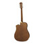 Guitarra Electroacustica Aria AWN-15CE