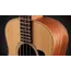 Bajo Electroacustico Taylor Gs Mini E, Madera: Sapele, 7 image