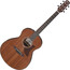 Guitarra Acustica Ibanez Sapele AAM54